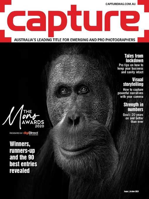 Cover image for Capture